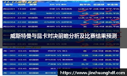 VSport胜利因您更精彩